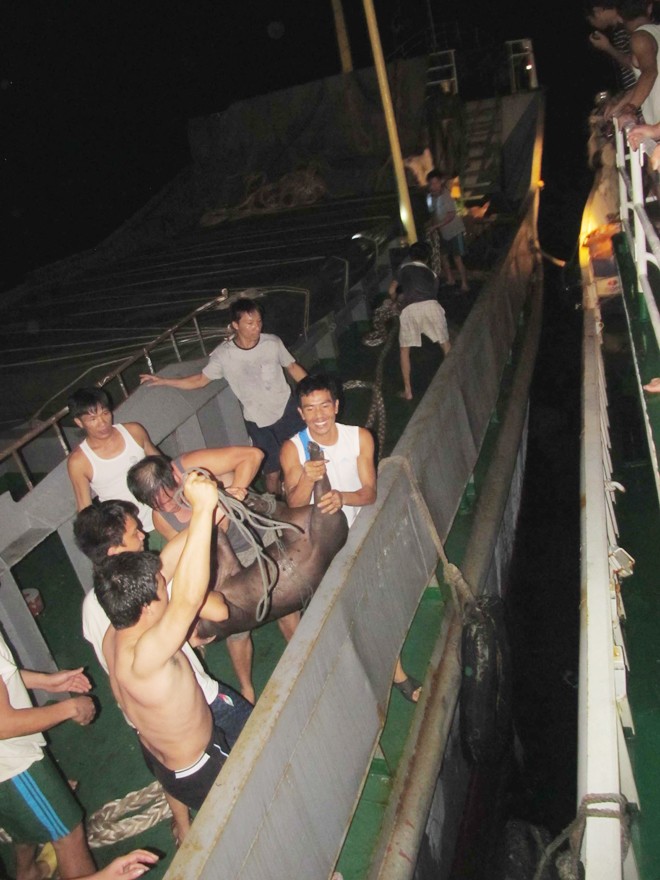 Tiếp tế trong đêm giữa Hoàng Sa - ảnh 1